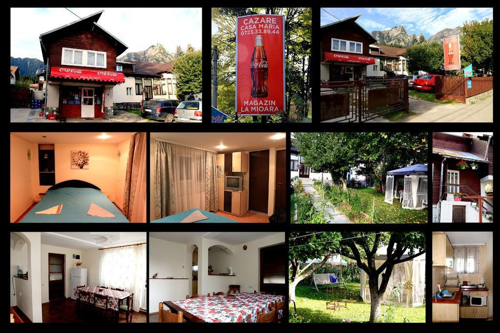 Casa Maria Busteni - Poiana Tapului エクステリア 写真
